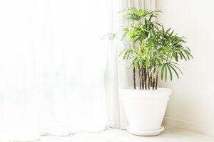 Artificial Plant Decor